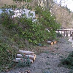 High Bluff before renovation