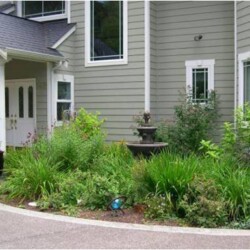 New landscape disguises the biofiltration area at the front entrance.