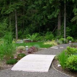 First bridge covers bio-filtration access.