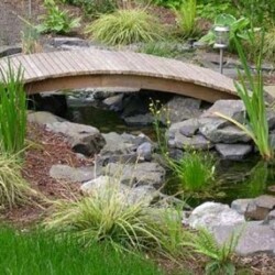 Second bridge spans the creek that borders the forest.
