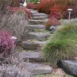Steps to hillside gazebo in winter. Steps to hillside gazebo in winter.