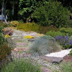 Memorial garden path. Memorial garden path.
