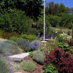 9/11 Memorial garden. 9/11 Memorial garden.