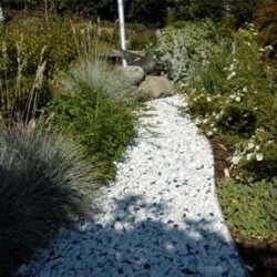 9/11 Memorial garden path detail. 9/11 Memorial garden path detail.