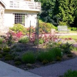 New entrance walk and plantings say ‘Welcome.’