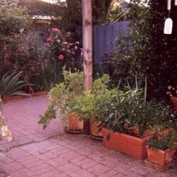 New brick patio and containers of vegetables.